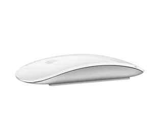 APPLE MAGIC MOUSE SILVER USB-C - Picture 1 of 1