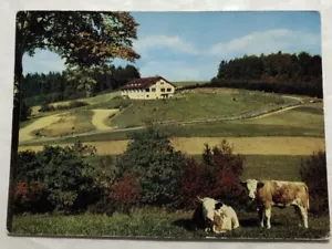 Sonnen - Cafe Kreidacher Höhe. Postkarte (F3) - Bild 1 von 2
