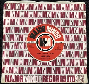 Johnny Nash – (What A) Groovy Feeling / You Got Soul 7'' 1970 TESTED VG+ VIDEO - Imagen 1 de 6