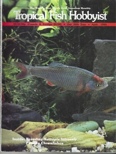 Tropical Fish Hobbyist Magazine 1989 April featuring: Breeding Notropis lutrensi - Picture 1 of 2