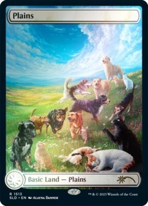 Plains - Full Art FOIL - SLD 1513 Raining Cats and Dogs NM EN - MTG Magic - Bild 1 von 1