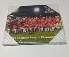 2007 MILB OREM OWLZ PIONEER LEAGUE BASEBALL CHAMPIONS TEAM PHOTO CANVAS