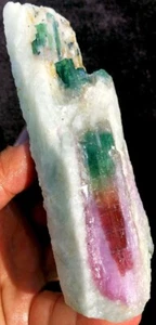 278g Natürliche Wassermelone Farbe Turmalin Kristall Eis Transparent Präparat ie1684 - Bild 1 von 12