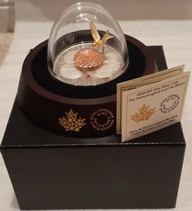 2020 Moving Hummingbird and the Bloom $50 5OZ Pure Silver Proof Coin Canada - Picture 1 of 6