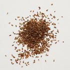 Edible Carrot Seeds (Gajar K Beej) Indian herb FREE SHIPPING 50 gram