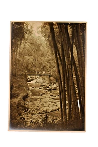 Foto originale anni '30 Tosari Studio S Satake Indonesia bambù foresta fiume ponte - Foto 1 di 5
