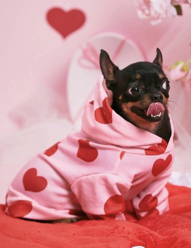 Felpa con cappuccio per animali domestici stampa cuore San Valentino *taglia S*