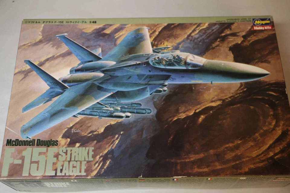 Hasegawa 1/48 McDonnell Douglas F-15E Strike Eagle - Immagine 1 di 1
