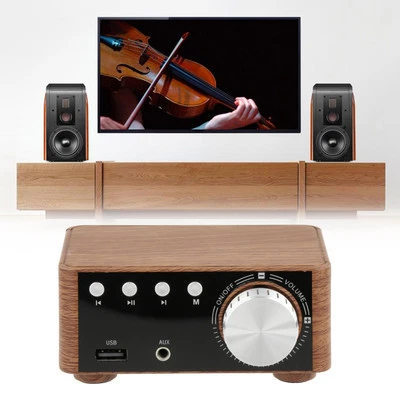 Powerful Mini 100W Bluetooth 5.0 Power Amplifier Hi-Fi 2.0 Channel TF USB/ - Image 1 of 4