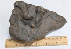893 Gram Unclassified NWA METEORITE (#F6895) - Picture 1 of 3