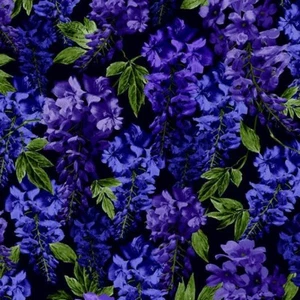 Michael Miller - Wisteria Lane - Wisteria - Midnight, Fabric BTY - Picture 1 of 5