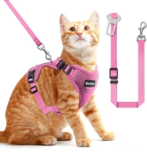 Cat Harness and Leash for Walking, the Upgrade Can Be Adjusted in Four Direction - Picture 1 of 12