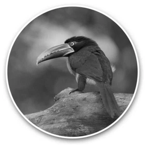 2 x Vinyl Stickers 20cm (bw) - Aracari Brazilian Tropical Bird  #42673 - Afbeelding 1 van 8