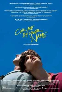 Call Me by Your Name - LAMINATED PREMIUM MOVIE POSTER FILM PRINT High QUALITY - Foto 1 di 2