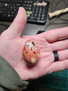 Mexican Fire Opal Egg In The Matrix - Picture 1 of 4
