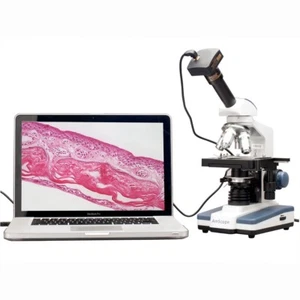 AmScope 40X-2000X LED Monocular Compound Microscope + 3D Stage + 1.3MP Camera - Picture 1 of 8