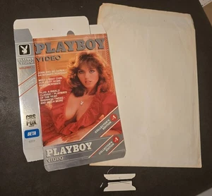 Playboy Video Lonny Chin 1982 Store Promo Display Box VHS Beta Advertising Sign - Picture 1 of 19