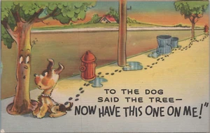 Dog Talking Tree To the Dog Said the Tree c1940s Comic Postcard 11380.3 - Picture 1 of 7