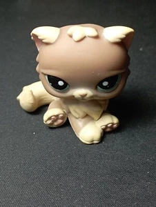 LPS LITTLEST PETSHOP PET SHOP HASBRO - #1063 chat Persian Kitty Cat persan - Picture 1 of 3