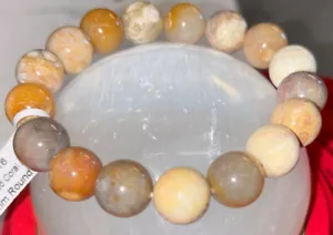 Fossilized Coral Bracelet 12 mm - Picture 1 of 4