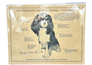 Cavalier King Charles Spaniel Toy Breed AKC Identification 11” x 14” Poster - Picture 1 of 7