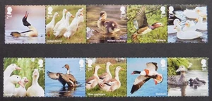 Royal Mail Briefmarken Set: "Enten" 2025. postfrisch - Bild 1 von 4