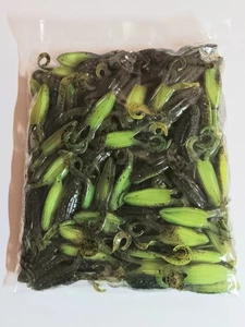 1 Bulk Pack (100) Strike King KVD Gurgle Toad JR 3&1/4"  Green Pumpkin Chartreus - Picture 1 of 1