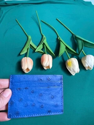 OSTRICH Leather SKIN Credit Card Holder DOUBLE SIDE Genuine OSTRICH Blue - Image 1 of 4