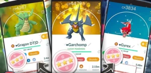 Shundo Pokemon Fangservice x1 spezifisch ✨ Pokemon Go ✨ - Bild 1 von 2