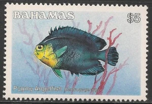 Bahamas #618 (A98) (SG #773A) VF MNH - 1986 $5 Pygmy Angelfish - Picture 1 of 1