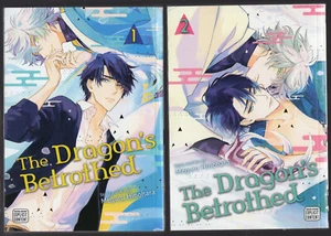 The Dragon's Betrothed Vols. 1 & 2 Meguru Hinohara SuBLime Manga Editions 2023 - Picture 1 of 18