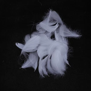 50pcs White Color for DIY Craft Wedding Home Party Decoration - Picture 1 of 12