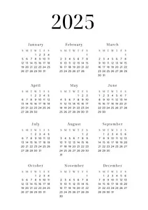 2025 Calendar Poster – A1 A2 A3 A4 Sizes | High-Quality Yearly Planner - Foto 1 di 1