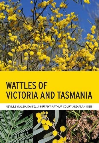 Wattles of Victoria and Tasmania by Neville Walsh, Arthur Bertram Court, Daniel J. Murphy and Alan Gibb (2025, Trade Paperback)