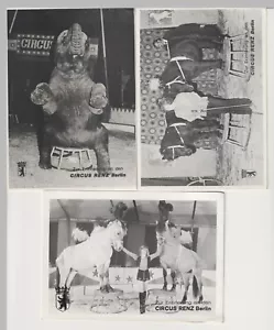 Zirkus Erinnerung an Circus Renz 3 Fotos Format , Elefant , Pferde , 15x10,5cm - Bild 1 von 1