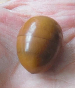 Antiguo Estuche Pequeño Vegetal Marfil Huevo Dedal D7240 - Imagen 1 de 3