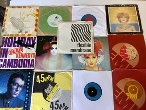 Punk, New Wave Vinyl Singles Job Lot 12 x 7''+ 2 x Flexi Discs Vinyl all listed - Picture 1 of 12