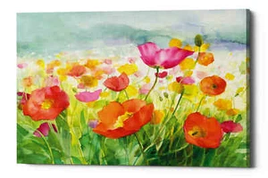 Epic Graffiti 'Meadow Poppies' by Danhui Nai, Giclee Canvas Wall Art - Picture 1 of 6