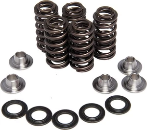 KibbleWhite Precision Valve spring kit 30-3111 - Foto 1 di 1