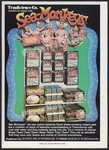 SEA-MONKEYS - Original 1985 Trade AD / ADVERT / TranScience Co. Promo ad_ Larami - Bild 1 von 1