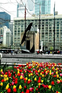 Chicago Tulips & Picasso fotografia originale firmata Giclée di Arnold - Foto 1 di 2