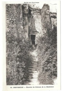 CHEVREUSE 78 Escalier du château de la Madeleine CPA non circulée non daté - Imagen 1 de 2
