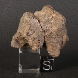 Météorite NWA 16207 de 35,7 g Chondrite Enstatite EL6 - Picture 1 of 11