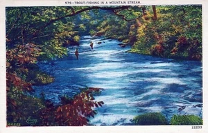 Forellenfischen im Gebirgsbach Leinen Postkarte - Bild 1 von 2