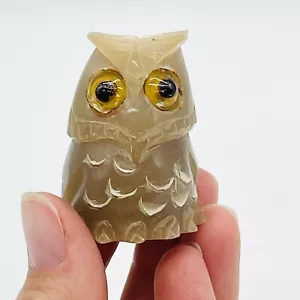 Talisman Eule Skulptur Deko Albino Büffelhorn Schnitzerei Sammlerstück Glück - Bild 1 von 8