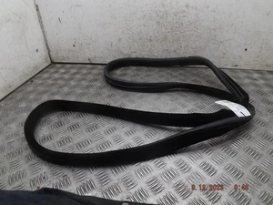 Sello de goma para puerta trasera Land Rover Range Rover Evoque pasajero izquierdo Ns MK1 11-19Z - Imagen 1 de 4