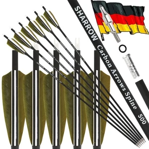 12 piezas 30 pulgadas flechas de carbono 4 pulgadas muelles naturales SP500 Recurveboge tiro con arco caza - Imagen 1 de 12