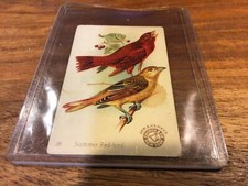 Arm & Hammer Beautiful Birds NEW SERIES #38 Summer Red Birds Card