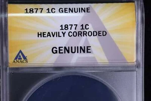 1877 Indian Head Cents, "Affordable KEY DATE", ANACS zertifiziert. Store #23083059 - Bild 1 von 3