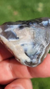Beautiful 2.2 oz Lake Superior Agate LSA - Unique Black White & Blue Sunbleach - Picture 1 of 17